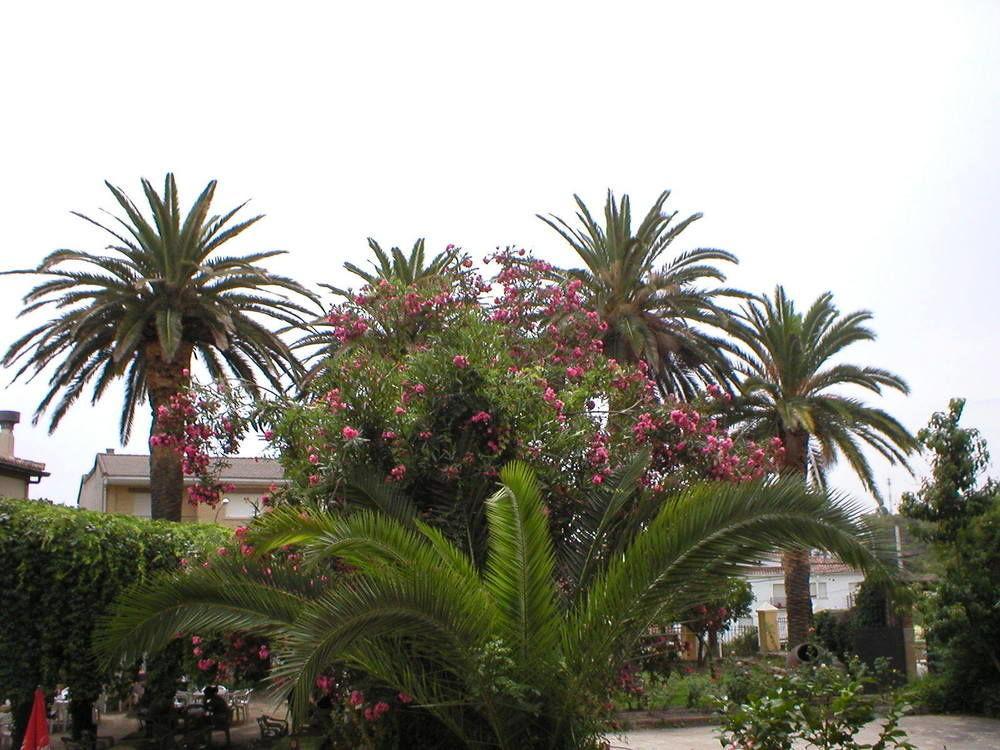 Hosteria Casa Colonial Madrigal de la Vera Exterior foto